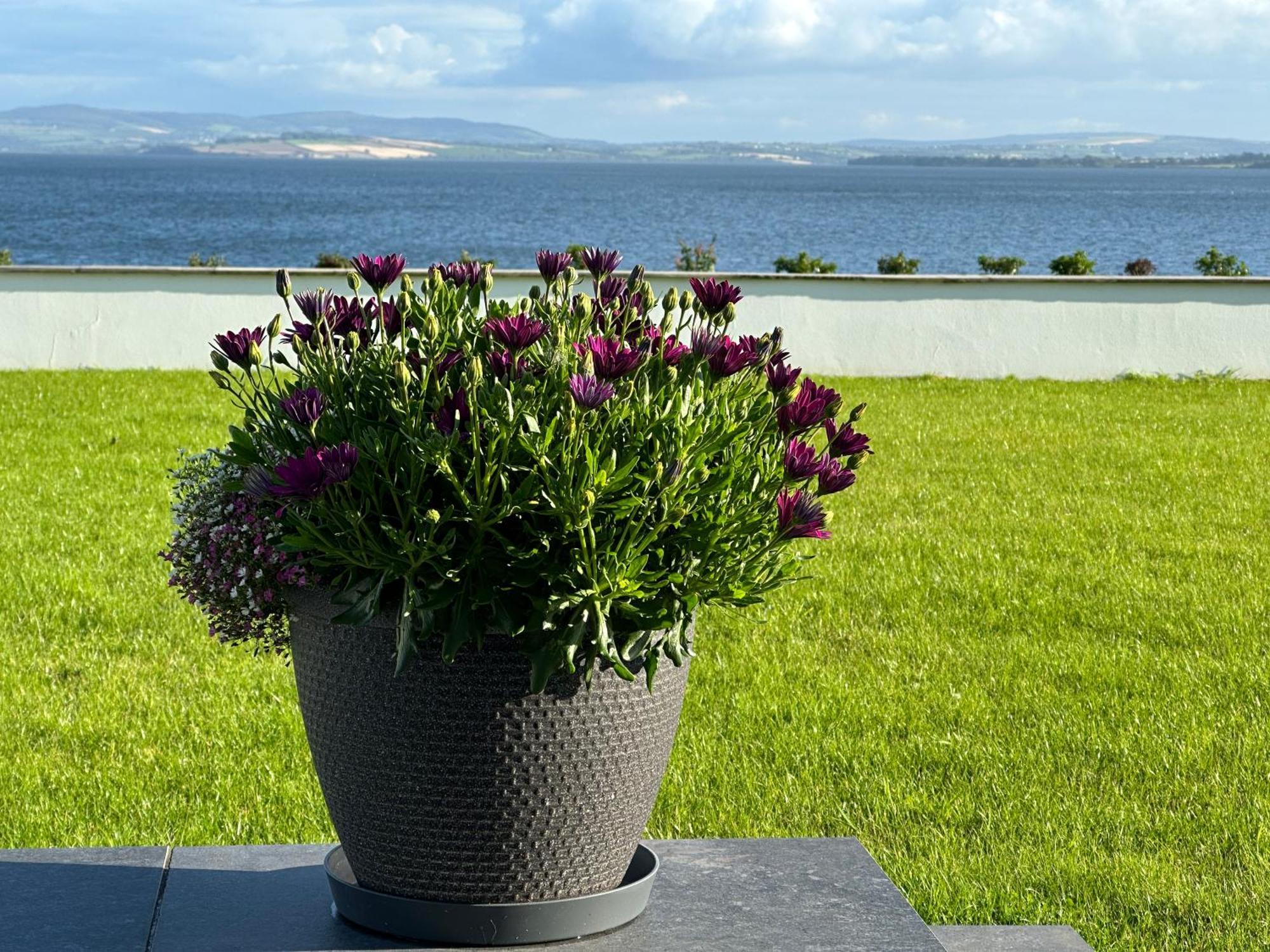 Villa Sea Vista - Rathmullan Extérieur photo