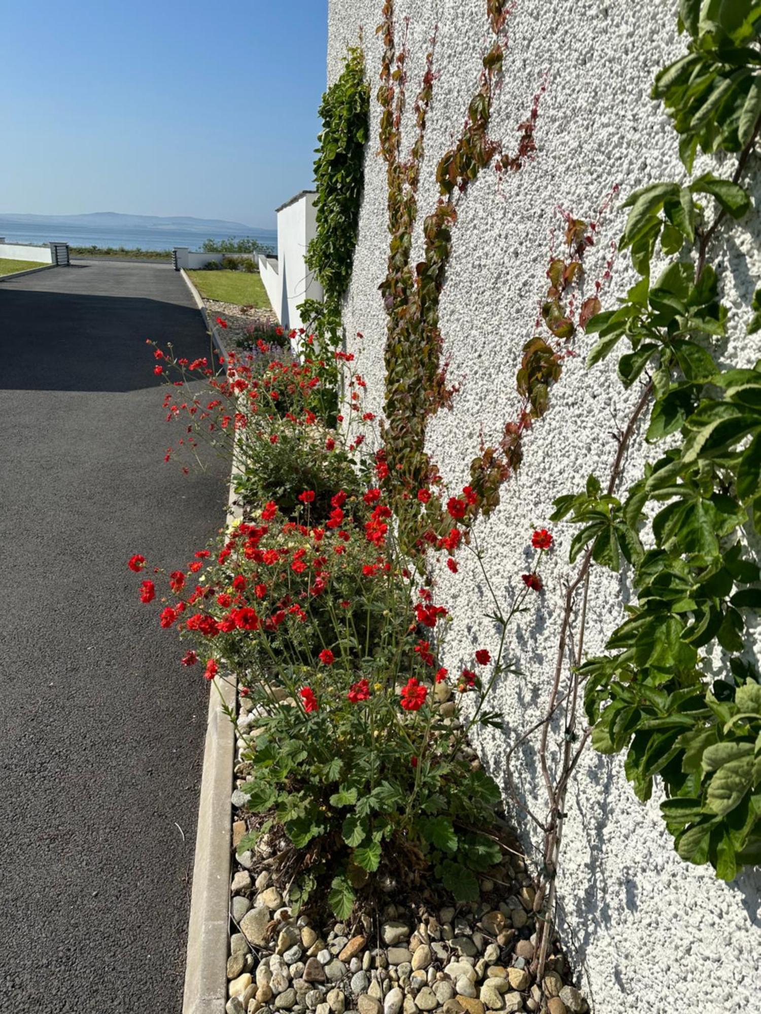 Villa Sea Vista - Rathmullan Extérieur photo